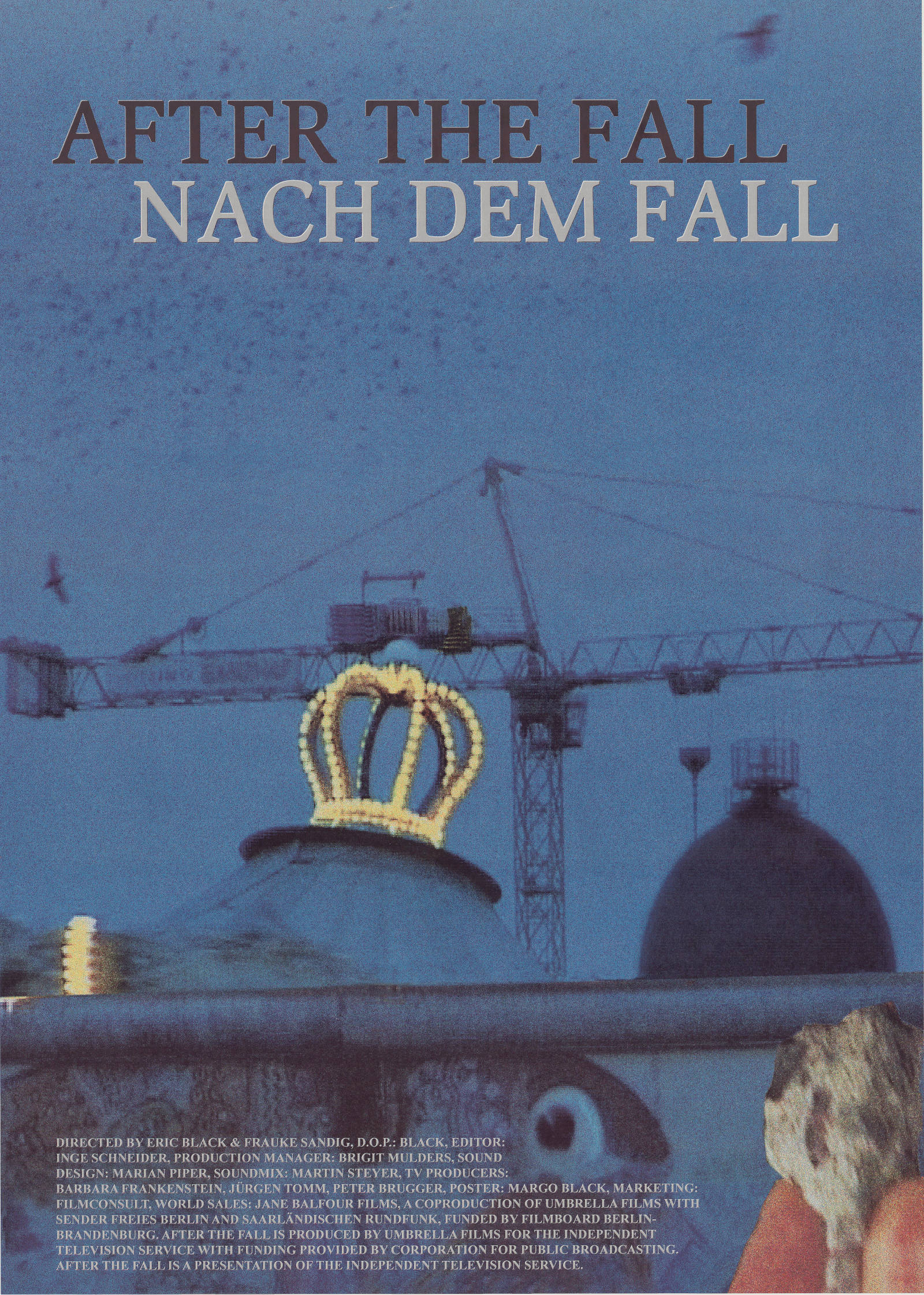 Poster AFTER THE FALL